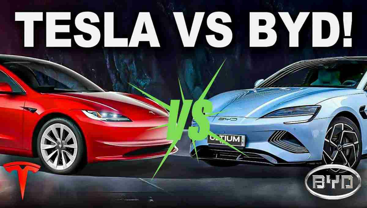 tesla vs byd